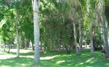 Lismore Palms Caravan Park - QLD Tourism