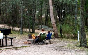 Girraween National Park Camping Ground - QLD Tourism