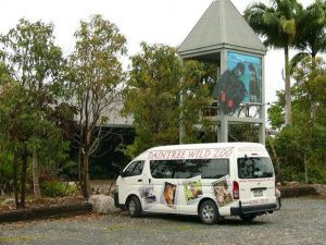 Daintree Wild Bed  Breakfast - QLD Tourism