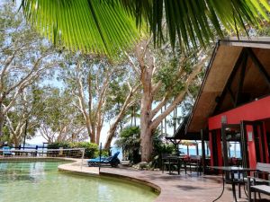 Turtle Cove Beach Resort - Adults Only LGBTQIA  Allies - QLD Tourism
